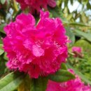 뉴신도공인중개사사무소 이미지