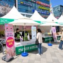 전남