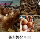 준희농장 이미지