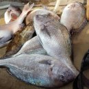 대림민박 이미지