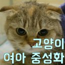 다대동물병원 이미지