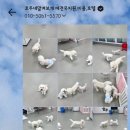 호두네 맡겨보개 네이버블로그