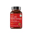 파이토플래닛