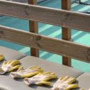 그린승마랜드 이미지