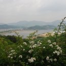 신수다방 이미지