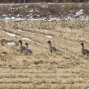 문경공 민기묘역 이미지