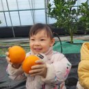 인애어린이집 이미지