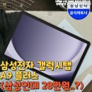 (주)다담게임 | 삼성전자 갤럭시탭 A9 플러스 (삼성인데 28만원..?)