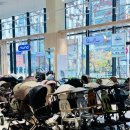 코야 | 기내반입 가능 휴대용 유모차 “ 싸이벡스 코야 ” 후기