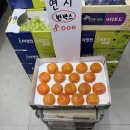 막퍼주는과일야채창고