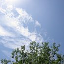 정거마을 이미지