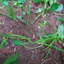 뽑기 좋은날 이미지