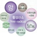 힐링 피부관리실 이미지