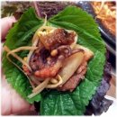 아라쭈꾸미 이미지