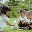 한빛유치원 | 파주 어린이집 및 유치원 입소 정보!