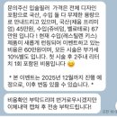 서울밸런스의원 | 이태원 엘리엇의원 입술필러 후기｜무제한 리터치 포함 내돈내산 솔직 리뷰