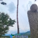 수성대민박 이미지