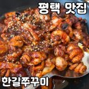 한길 | 평택 쭈꾸미 맛집 [한길쭈꾸미] 솔직 후기