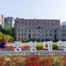 중앙대학교 이미지