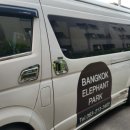 엘리펀트샤워 | 방콕 엘리펀트파크 반일 코스 투어 내돈내산 후기