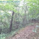 쌍백면사무소 이미지