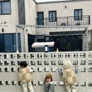 보문에코풀빌라 네이버블로그