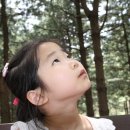 강촌유원지 이미지