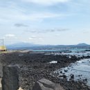 in 섬 story 이미지