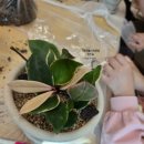 오천 초등학교 병설 유치원 이미지