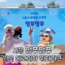 워터파크 | 시흥 반려견 수영장 멍푸멍푸 월곶 에코피아 워터파크 후기