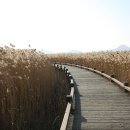 행현초등학교 이미지