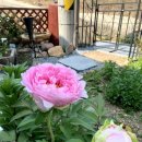 달맞이농장 이미지