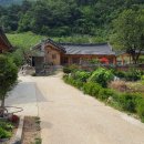 송원농장민박 이미지