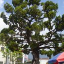 악양초등학교 이미지