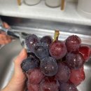 해찬농장 이미지