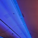 주식회사 코코메이 | 에미레이트항공 후기