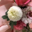 동덕유치원 이미지