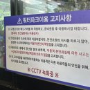 [가평빠지] 7km 달리는 빠지 후기, 가평 액티비티 추천, 빠져수상레저 총정리