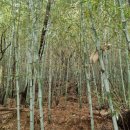 숲안경로당 이미지