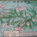 남산약국 이미지