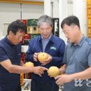 사벌농업협동조합 이미지