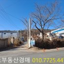 도동JC 이미지