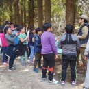 포두초등학교 이미지