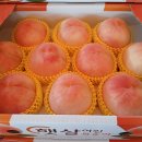 황도/백도 32'000원 이미지