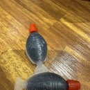 호주에서온스시전북도청점 | 전주 신시가지 맛집 호주에서온스시 전북도청점 후기