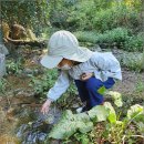 골드어린이집 이미지