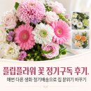 정기 | 플립플라워 꽃 정기구독 후기, 매번 다른 생화 정기배송으로 집 분위기 바꾸기