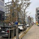 이루다제면소거북섬점 메뉴 추천 :: 치즈돈까스, 붓가케 우동