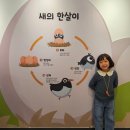 조류생태전시관 | 서천여행 서천군 조류생태전시관 에코히어로즈 체험 후기 및 정보