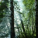 원한의원 이미지